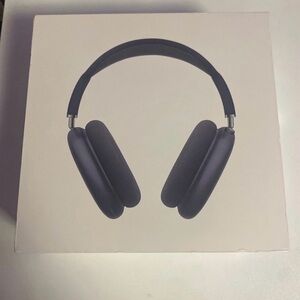 Apple AirPod-Max (space gray)